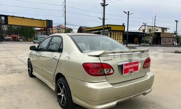 Buy Used Toyota Corolla Altis Other Car in Chai Nat in Chai Nat Buy Used Toyota Corolla Altis Other Car in Chai Nat in Chai Nat