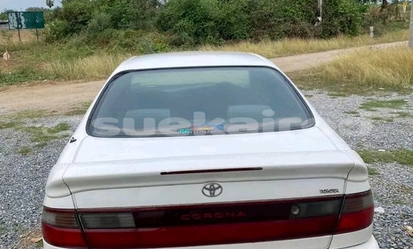 Buy Used Toyota Corolla White Car in Chachoengsao in Chachoengsao Buy Used Toyota Corolla White Car in Chachoengsao in Chachoengsao