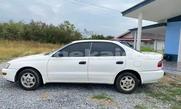 Buy Used Toyota Corolla White Car in Chachoengsao in Chachoengsao Buy Used Toyota Corolla White Car in Chachoengsao in Chachoengsao
