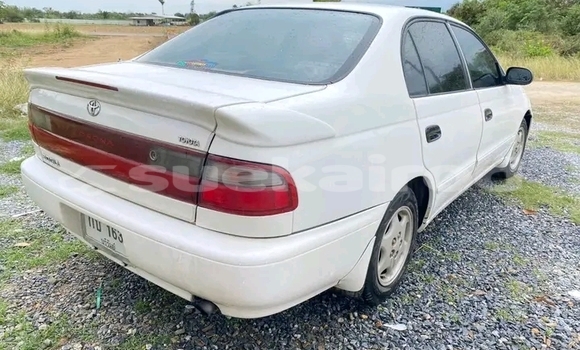 Buy Used Toyota Corona White Car in Buri Ram in Buri Ram Buy Used Toyota Corona White Car in Buri Ram in Buri Ram
