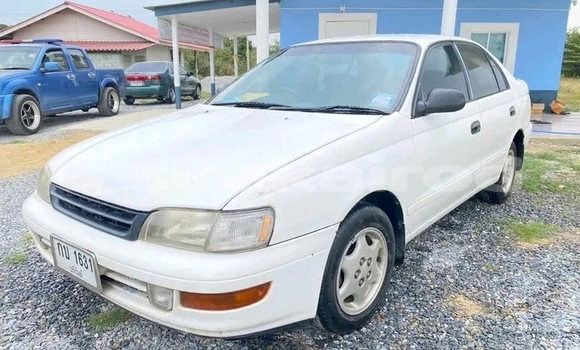 Buy Used Toyota Corona White Car in Buri Ram in Buri Ram Buy Used Toyota Corona White Car in Buri Ram in Buri Ram