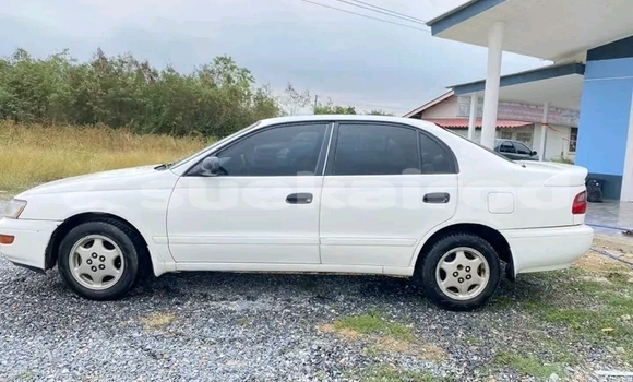 Buy Used Toyota Corona White Car in Buri Ram in Buri Ram Buy Used Toyota Corona White Car in Buri Ram in Buri Ram