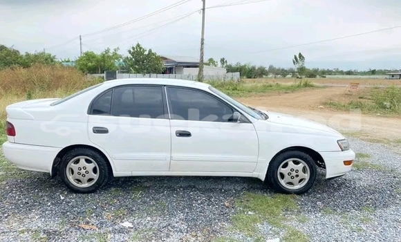 Buy Used Toyota Corona White Car in Buri Ram in Buri Ram Buy Used Toyota Corona White Car in Buri Ram in Buri Ram