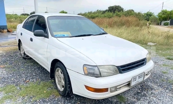 Buy Used Toyota Corona White Car in Buri Ram in Buri Ram Buy Used Toyota Corona White Car in Buri Ram in Buri Ram