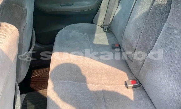 ซื้อ รถมือสอง Honda Accord อื่น ๆ รถยนต์ ใน %{เมือง} ใน กาฬสินธุ์ ซื้อ รถมือสอง Honda Accord อื่น ๆ รถยนต์ ใน %{เมือง} ใน กาฬสินธุ์