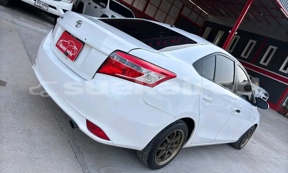 ซื้อ รถมือสอง Toyota Vios ขาว รถยนต์ ใน %{เมือง} ใน ชัยนาท ซื้อ รถมือสอง Toyota Vios ขาว รถยนต์ ใน %{เมือง} ใน ชัยนาท