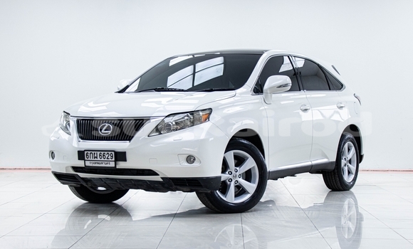 Buy Used Lexus RX White Car in Nonthaburi in Nonthaburi
