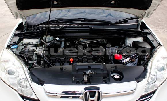 ซื้อ รถมือสอง Honda CR-V ขาว รถยนต์ ใน %{เมือง} ใน นนทบุรี ซื้อ รถมือสอง Honda CR-V ขาว รถยนต์ ใน %{เมือง} ใน นนทบุรี