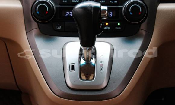 ซื้อ รถมือสอง Honda CR-V ขาว รถยนต์ ใน %{เมือง} ใน นนทบุรี ซื้อ รถมือสอง Honda CR-V ขาว รถยนต์ ใน %{เมือง} ใน นนทบุรี