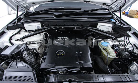 Buy Used Audi Q5 White Car in Bangkok in Bangkok Buy Used Audi Q5 White Car in Bangkok in Bangkok