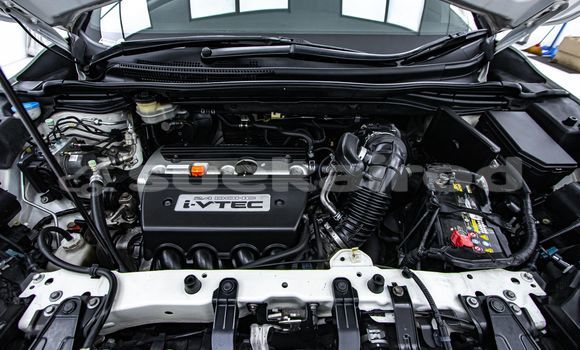 ซื้อ รถมือสอง Honda CR-V ขาว รถยนต์ ใน %{เมือง} ใน กรุงเทพมหานคร ซื้อ รถมือสอง Honda CR-V ขาว รถยนต์ ใน %{เมือง} ใน กรุงเทพมหานคร