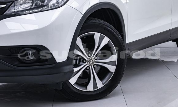 ซื้อ รถมือสอง Honda CR-V ขาว รถยนต์ ใน %{เมือง} ใน กรุงเทพมหานคร ซื้อ รถมือสอง Honda CR-V ขาว รถยนต์ ใน %{เมือง} ใน กรุงเทพมหานคร