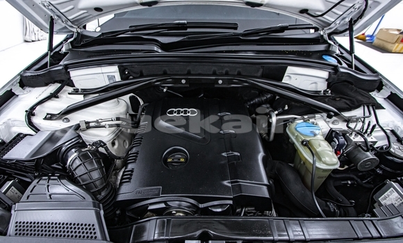 Buy Used Audi Q5 White Car in Nonthaburi in Nonthaburi Buy Used Audi Q5 White Car in Nonthaburi in Nonthaburi