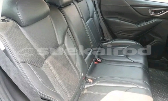 Buy Used Subaru Forester Black Car in Chaiyaphum in Chaiyaphum Buy Used Subaru Forester Black Car in Chaiyaphum in Chaiyaphum