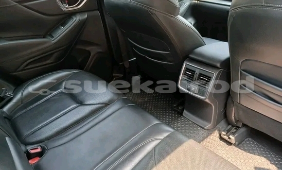 Buy Used Subaru Forester Black Car in Chaiyaphum in Chaiyaphum Buy Used Subaru Forester Black Car in Chaiyaphum in Chaiyaphum