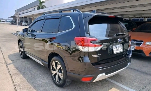 Buy Used Subaru Forester Black Car in Chaiyaphum in Chaiyaphum Buy Used Subaru Forester Black Car in Chaiyaphum in Chaiyaphum