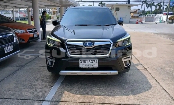 Buy Used Subaru Forester Black Car in Chaiyaphum in Chaiyaphum Buy Used Subaru Forester Black Car in Chaiyaphum in Chaiyaphum