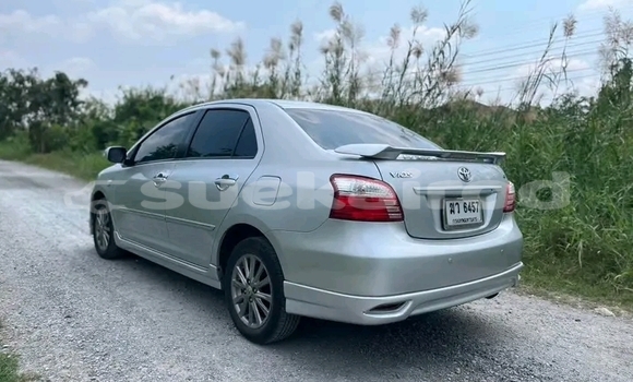 ซื้อ รถมือสอง Toyota Vios ขาว รถยนต์ ใน %{เมือง} ใน ชัยนาท ซื้อ รถมือสอง Toyota Vios ขาว รถยนต์ ใน %{เมือง} ใน ชัยนาท