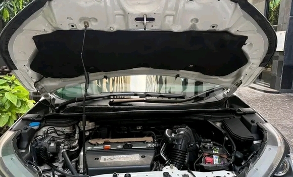 Buy Used Honda CR-V White Car in Chaiyaphum in Chaiyaphum Buy Used Honda CR-V White Car in Chaiyaphum in Chaiyaphum