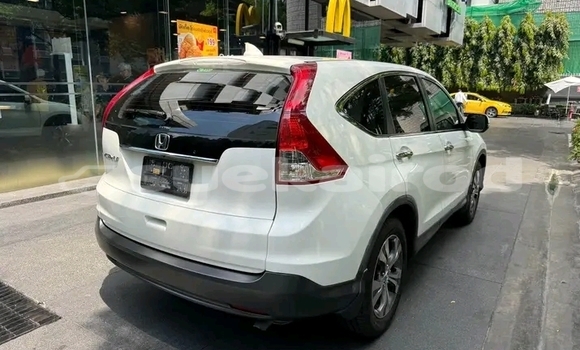 Buy Used Honda CR-V White Car in Chaiyaphum in Chaiyaphum Buy Used Honda CR-V White Car in Chaiyaphum in Chaiyaphum