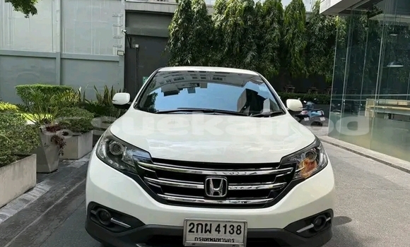 Buy Used Honda CR-V White Car in Chaiyaphum in Chaiyaphum Buy Used Honda CR-V White Car in Chaiyaphum in Chaiyaphum