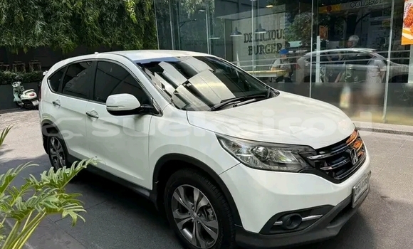 Buy Used Honda CR-V White Car in Chaiyaphum in Chaiyaphum Buy Used Honda CR-V White Car in Chaiyaphum in Chaiyaphum