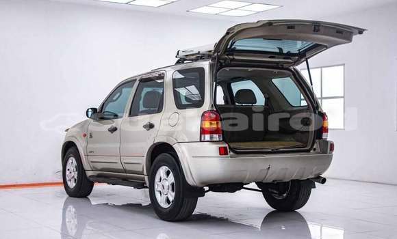 ซื้อ รถมือสอง Ford Escape อื่น ๆ รถยนต์ ใน %{เมือง} ใน กรุงเทพมหานคร ซื้อ รถมือสอง Ford Escape อื่น ๆ รถยนต์ ใน %{เมือง} ใน กรุงเทพมหานคร