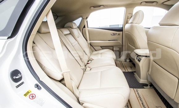 ซื้อ รถมือสอง Lexus RX 300 ขาว รถยนต์ ใน %{เมือง} ใน นนทบุรี ซื้อ รถมือสอง Lexus RX 300 ขาว รถยนต์ ใน %{เมือง} ใน นนทบุรี