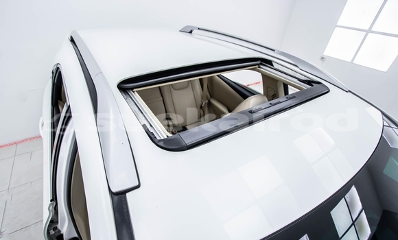 ซื้อ รถมือสอง Lexus RX 300 ขาว รถยนต์ ใน %{เมือง} ใน นนทบุรี ซื้อ รถมือสอง Lexus RX 300 ขาว รถยนต์ ใน %{เมือง} ใน นนทบุรี