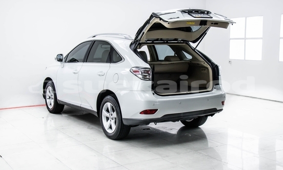 ซื้อ รถมือสอง Lexus RX 300 ขาว รถยนต์ ใน %{เมือง} ใน นนทบุรี ซื้อ รถมือสอง Lexus RX 300 ขาว รถยนต์ ใน %{เมือง} ใน นนทบุรี