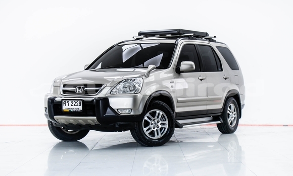 ซื้อ รถมือสอง Honda CR–V สีน้ำตาล รถยนต์ ใน %{เมือง} ใน นนทบุรี ซื้อ รถมือสอง Honda CR–V สีน้ำตาล รถยนต์ ใน %{เมือง} ใน นนทบุรี