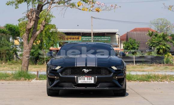 ซื้อ รถมือสอง Ford Mustang สีดำ รถยนต์ ใน %{เมือง} ใน นนทบุรี ซื้อ รถมือสอง Ford Mustang สีดำ รถยนต์ ใน %{เมือง} ใน นนทบุรี