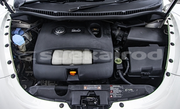 ซื้อ รถมือสอง Volkswagen Beetle ขาว รถยนต์ ใน %{เมือง} ใน นนทบุรี ซื้อ รถมือสอง Volkswagen Beetle ขาว รถยนต์ ใน %{เมือง} ใน นนทบุรี