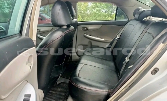 Buy Used Toyota Corolla Silver Car in Bangkok in Bangkok Buy Used Toyota Corolla Silver Car in Bangkok in Bangkok