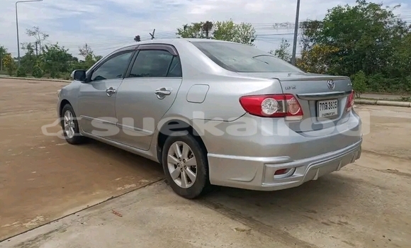 Buy Used Toyota Corolla Silver Car in Bangkok in Bangkok Buy Used Toyota Corolla Silver Car in Bangkok in Bangkok