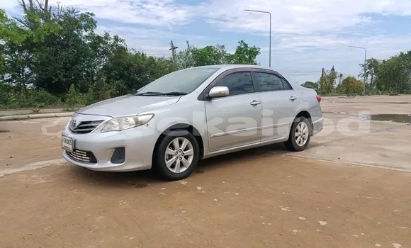 Buy Used Toyota Corolla Silver Car in Bangkok in Bangkok Buy Used Toyota Corolla Silver Car in Bangkok in Bangkok