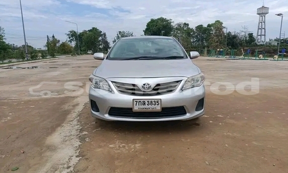Buy Used Toyota Corolla Silver Car in Bangkok in Bangkok Buy Used Toyota Corolla Silver Car in Bangkok in Bangkok