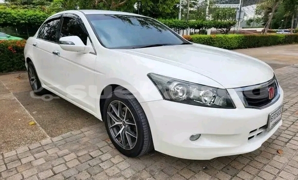 Buy Used Honda Accord White Car in Chachoengsao in Chachoengsao Buy Used Honda Accord White Car in Chachoengsao in Chachoengsao