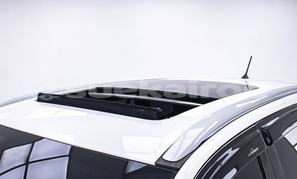 Buy Used Ford Everest White Car in Bangkok in Bangkok Buy Used Ford Everest White Car in Bangkok in Bangkok