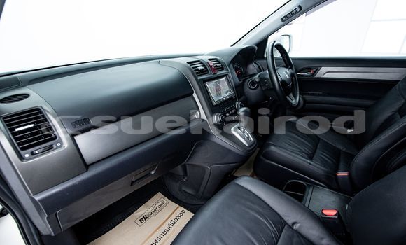 Buy Used Honda CR-V White Car in Bangkok in Bangkok Buy Used Honda CR-V White Car in Bangkok in Bangkok
