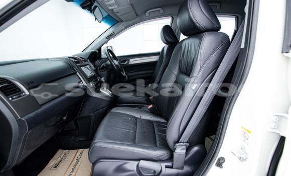 Buy Used Honda CR-V White Car in Bangkok in Bangkok Buy Used Honda CR-V White Car in Bangkok in Bangkok