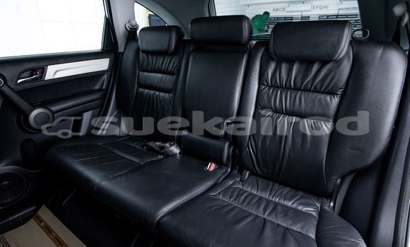 Buy Used Honda CR-V White Car in Bangkok in Bangkok Buy Used Honda CR-V White Car in Bangkok in Bangkok