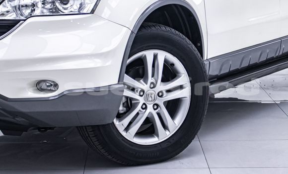 Buy Used Honda CR-V White Car in Bangkok in Bangkok Buy Used Honda CR-V White Car in Bangkok in Bangkok