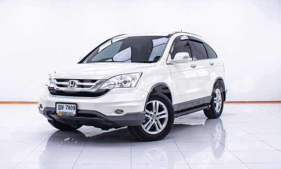 Buy Used Honda CR–V White Car in Nonthaburi in Nonthaburi