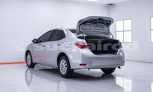 Buy Used Toyota Altis Other Car in Bangkok in Bangkok Buy Used Toyota Altis Other Car in Bangkok in Bangkok