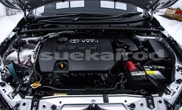 Buy Used Toyota Altis Other Car in Bangkok in Bangkok Buy Used Toyota Altis Other Car in Bangkok in Bangkok