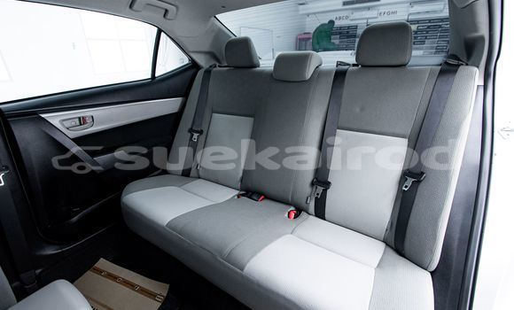 Buy Used Toyota Altis Other Car in Bangkok in Bangkok Buy Used Toyota Altis Other Car in Bangkok in Bangkok