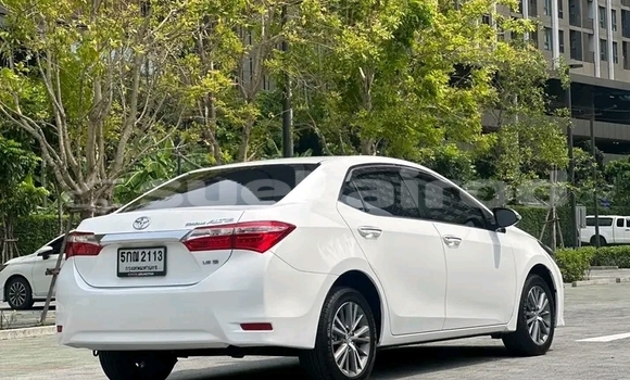 Buy Used Toyota Corolla White Car in Chai Nat in Chai Nat