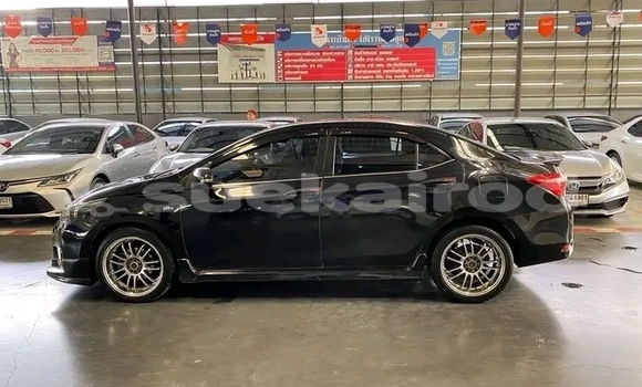 Buy Used Toyota Altis Black Car in Chai Nat in Chai Nat