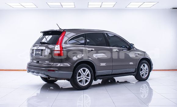 Buy Used Honda CR-V Brown Car in Bangkok in Bangkok Buy Used Honda CR-V Brown Car in Bangkok in Bangkok